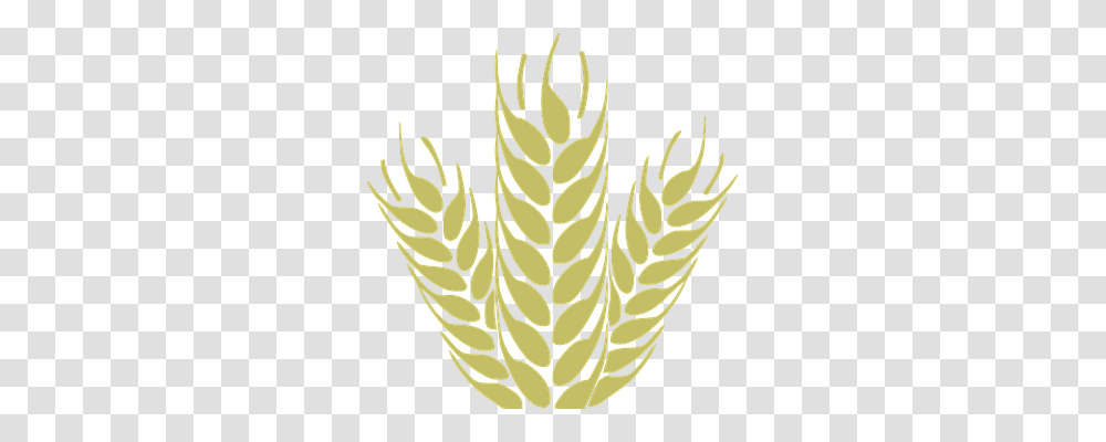 Corn Nature, Plant, Aloe, Cactus Transparent Png