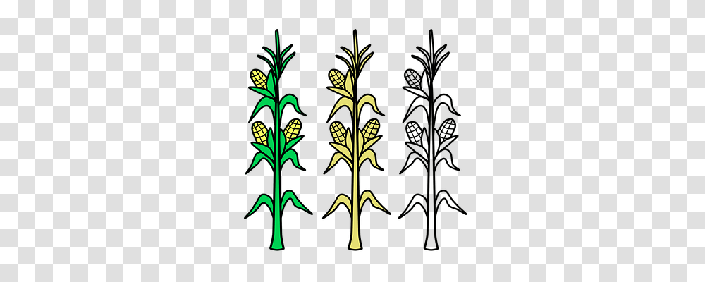 Corn Nature, Floral Design Transparent Png