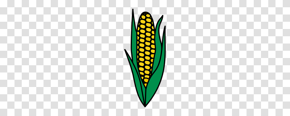 Corn Nature, Plant, Vegetable, Food Transparent Png