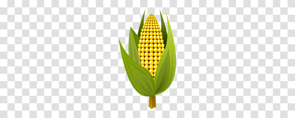 Corn Food, Plant, Vegetable Transparent Png