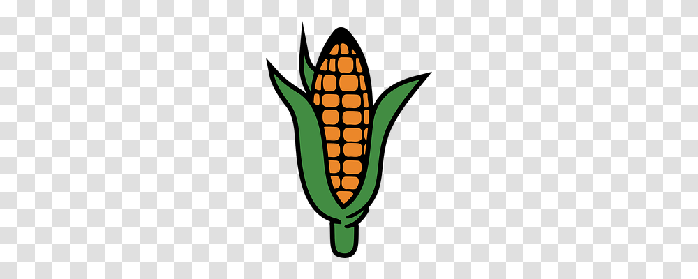 Corn Nature, Plant, Vegetable, Food Transparent Png