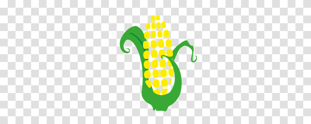 Corn Plant, Vegetable, Food, Grain Transparent Png