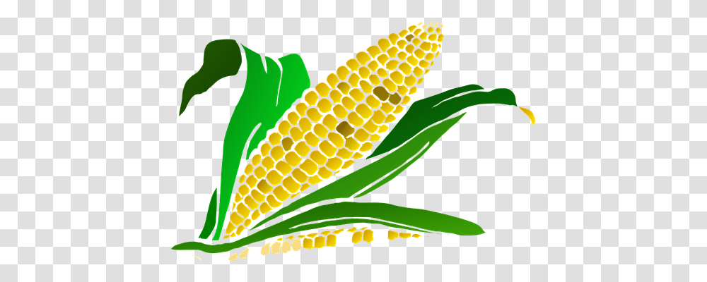 Corn Nature, Plant, Vegetable, Food Transparent Png