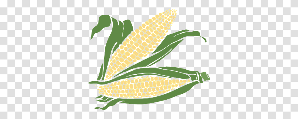 Corn Nature, Plant, Vegetable, Food Transparent Png