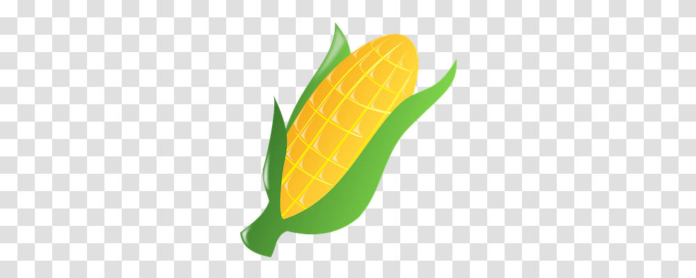 Corn Food, Plant, Vegetable, Tennis Ball Transparent Png