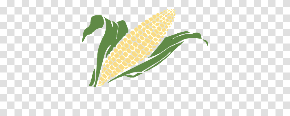 Corn Nature, Plant, Vegetable, Food Transparent Png