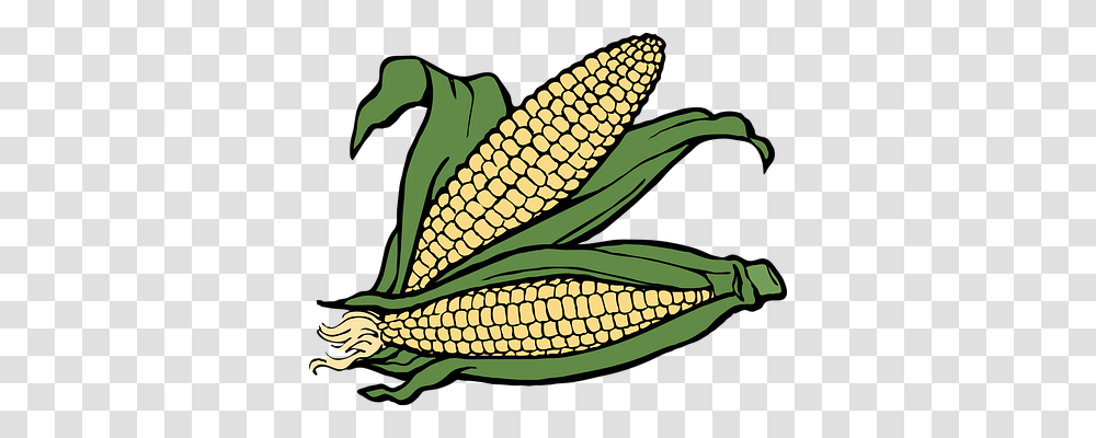 Corn Nature, Plant, Vegetable, Food Transparent Png