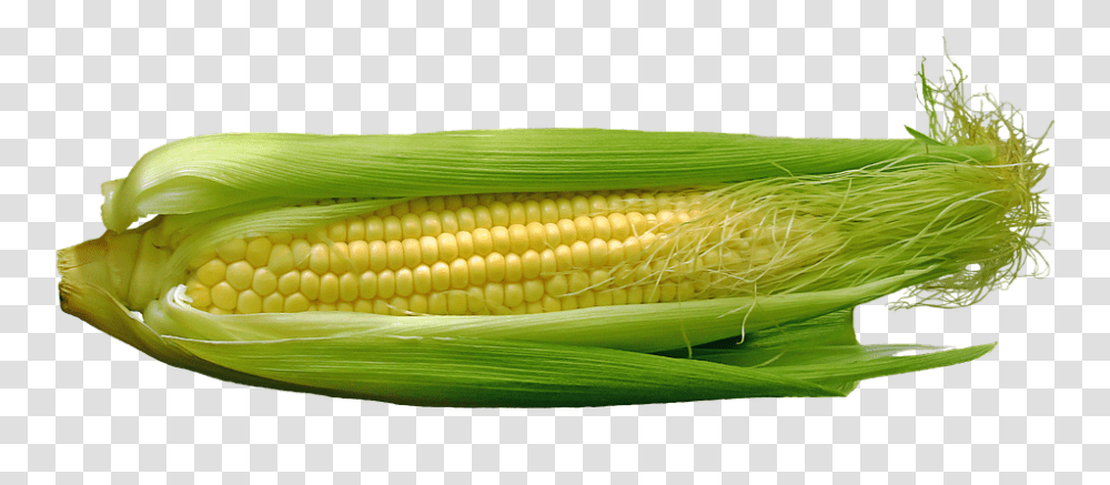 Corn 960, Vegetable, Plant, Food Transparent Png