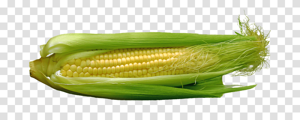 Corn Food, Plant, Vegetable Transparent Png