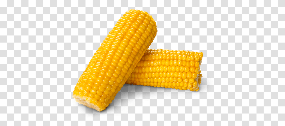 Corn Background Image Corn, Plant, Vegetable, Food, Fungus Transparent Png