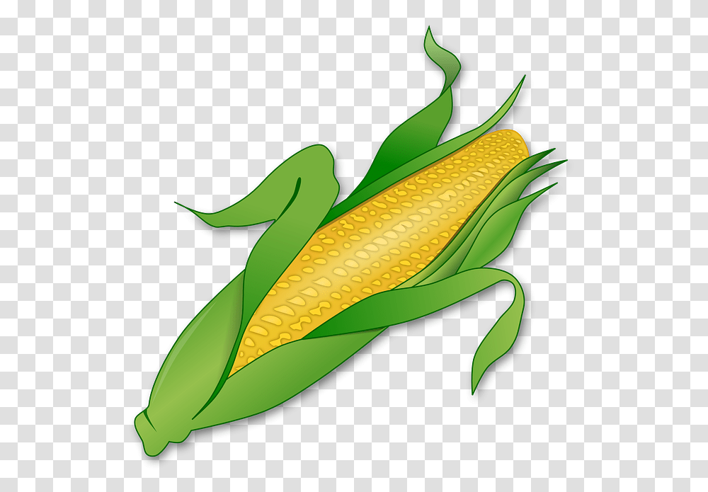 Corn Bc Reads Adult Literacy Fundamental English, Banana, Fruit, Plant, Food Transparent Png