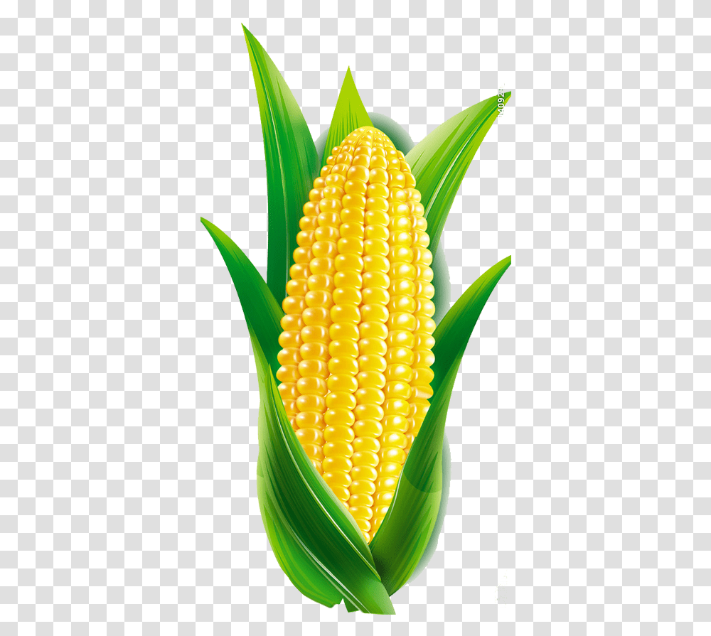 Corn Cartoon Cartoon Maize, Plant, Pineapple, Fruit, Food Transparent Png