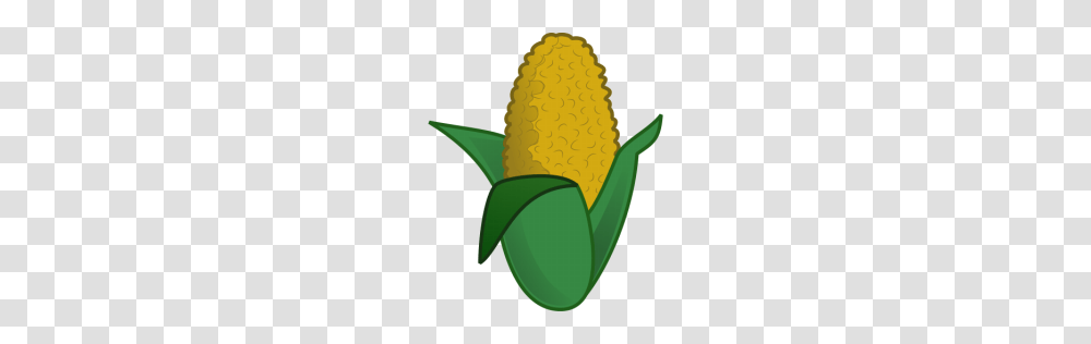 Corn Clip Art Free, Plant, Vegetable, Food, Flower Transparent Png