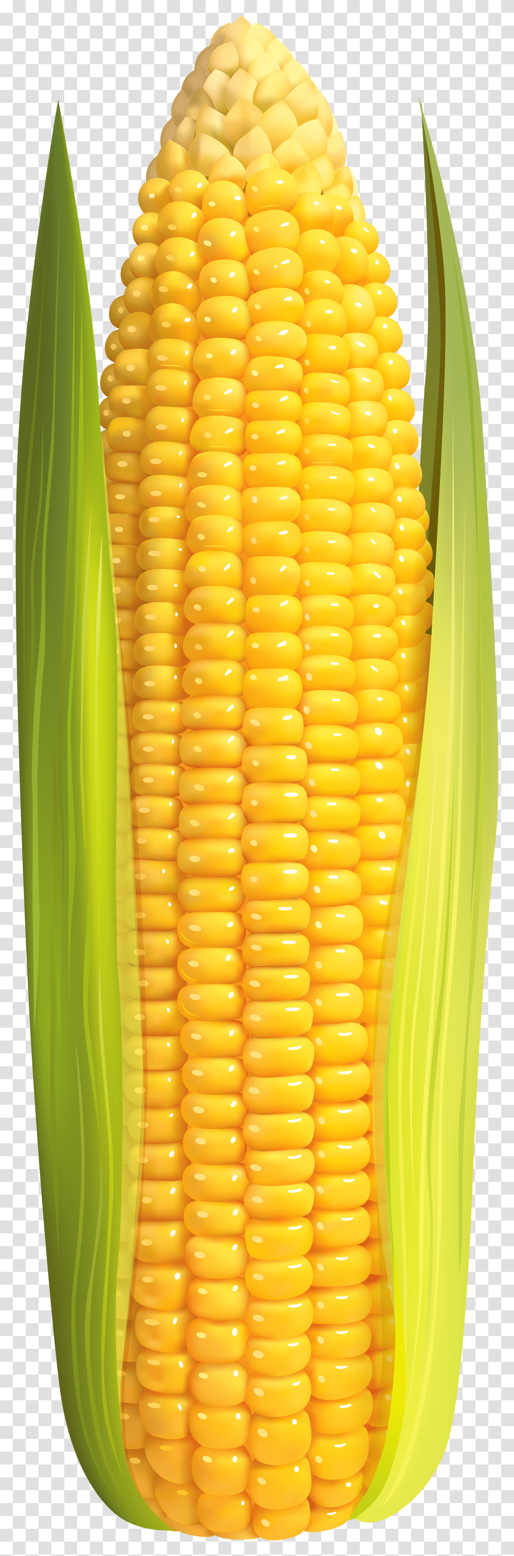 Corn Clip Art High Resolution Corn On The Cob Transparent Png