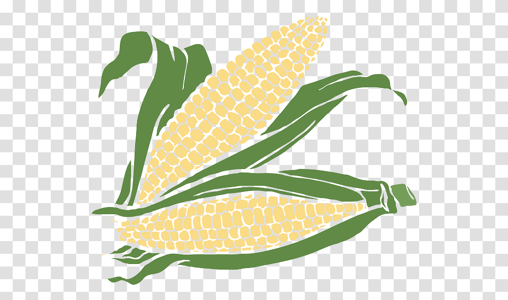 Corn Clipart Background Corn Vector, Plant, Vegetable, Food, Banana Transparent Png