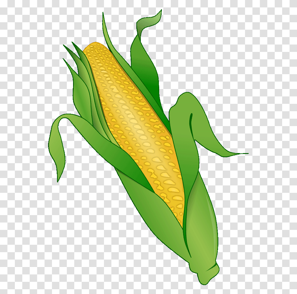Corn Clipart Corn Clipart Corn On The Cob, Plant, Vegetable, Food Transparent Png