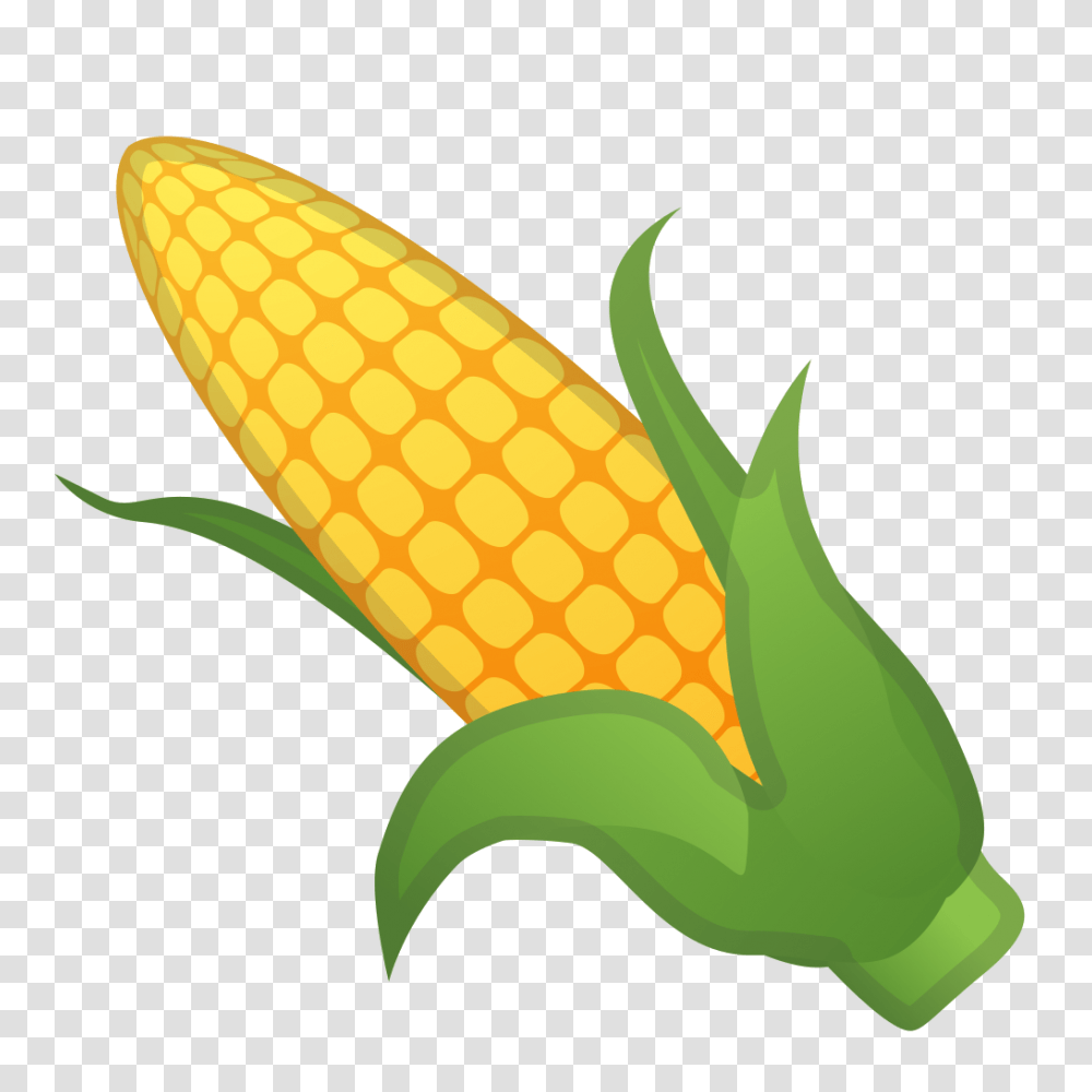 Corn Clipart Corn Free For Download, Plant, Vegetable, Food, Grain Transparent Png