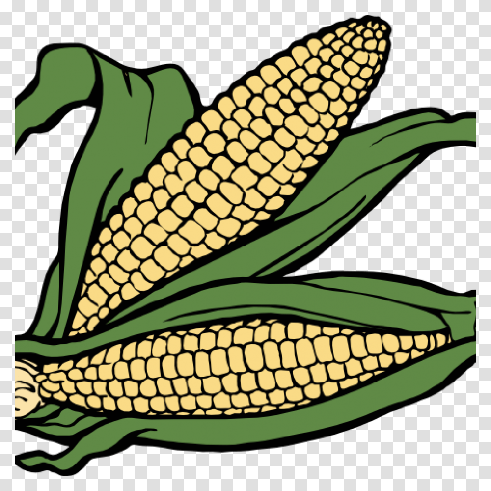 Corn Clipart Free Free Clipart Download, Plant, Vegetable, Food, Fish Transparent Png