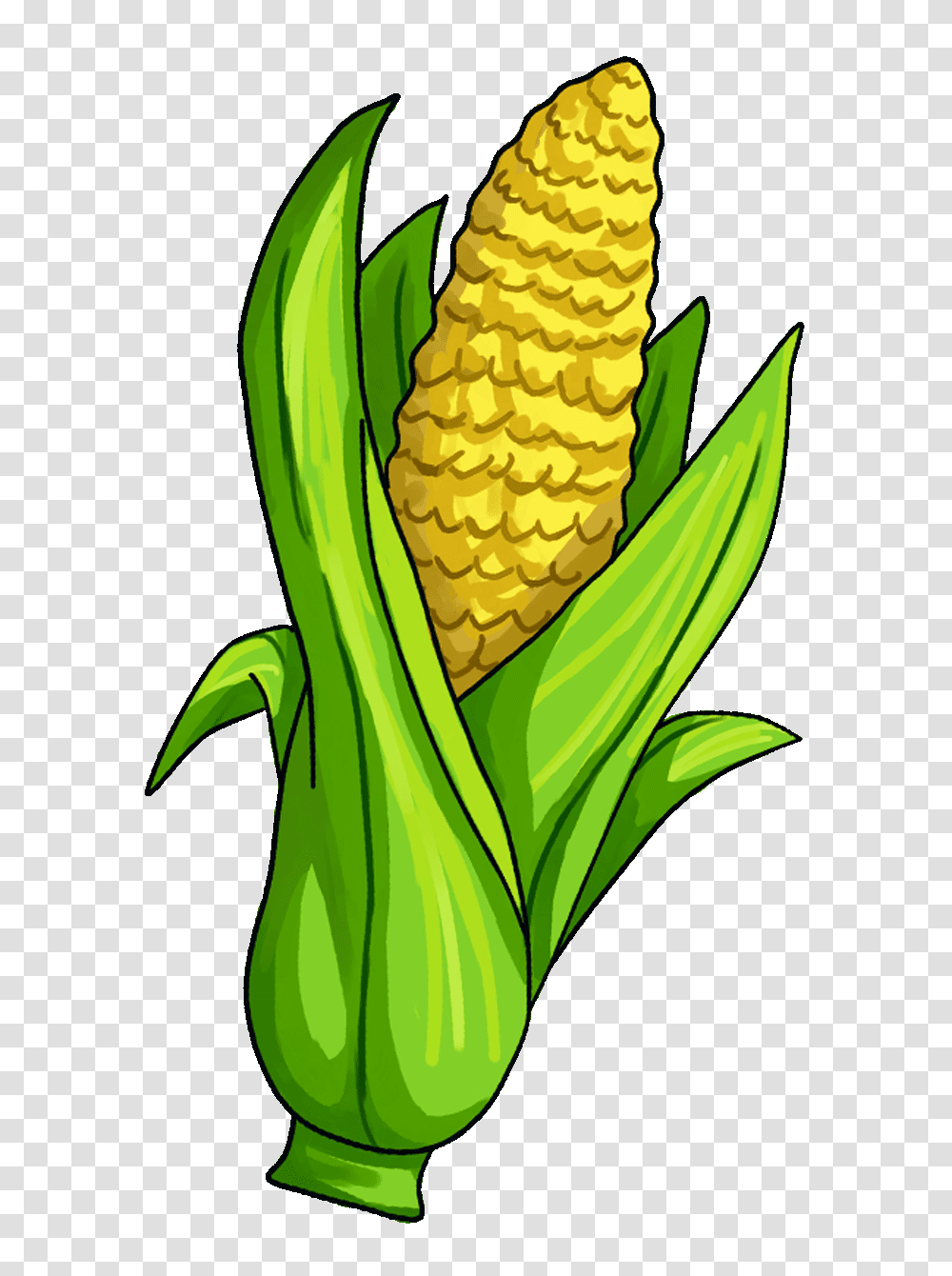 Corn Clipart Fruit, Plant, Vegetable, Food, Pineapple Transparent Png