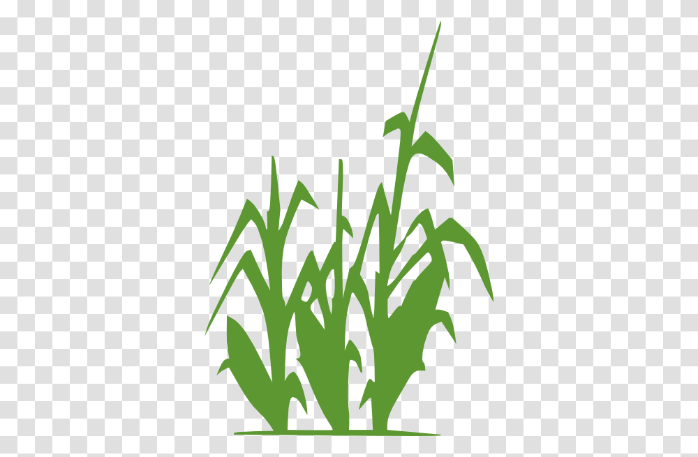 Corn Clipart, Plant, Green, Potted Plant, Vase Transparent Png