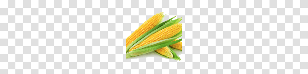 Corn Clipart, Plant, Vegetable, Food, Brush Transparent Png