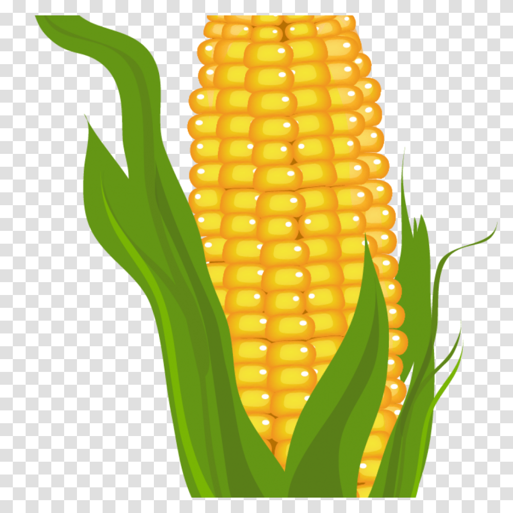 Corn Clipart Rainbow Clipart House Clipart Online Download, Plant, Vegetable, Food Transparent Png