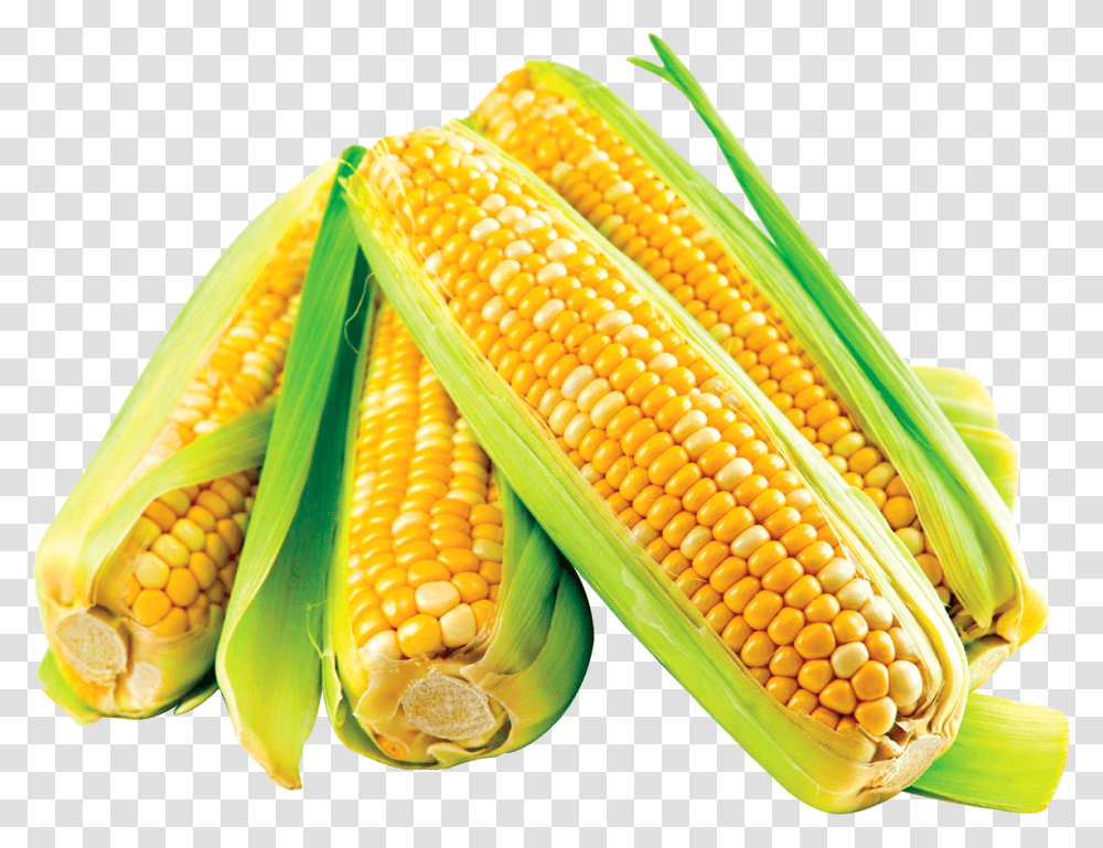 Corn Cob Corn Crop, Plant, Vegetable, Food Transparent Png