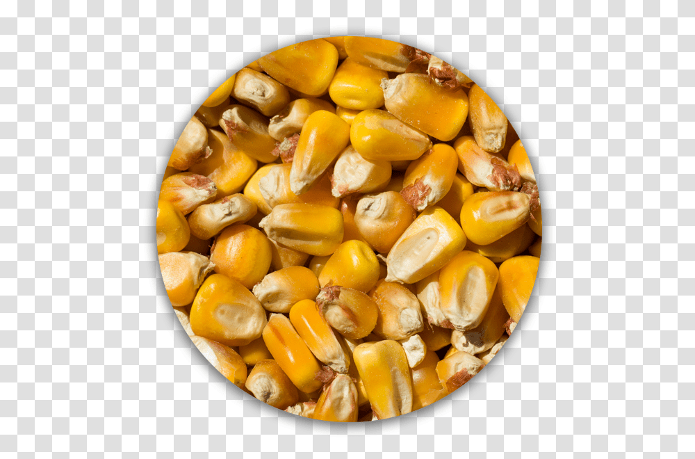 Corn Cob Corn Kernels, Plant, Vegetable, Food, Grain Transparent Png