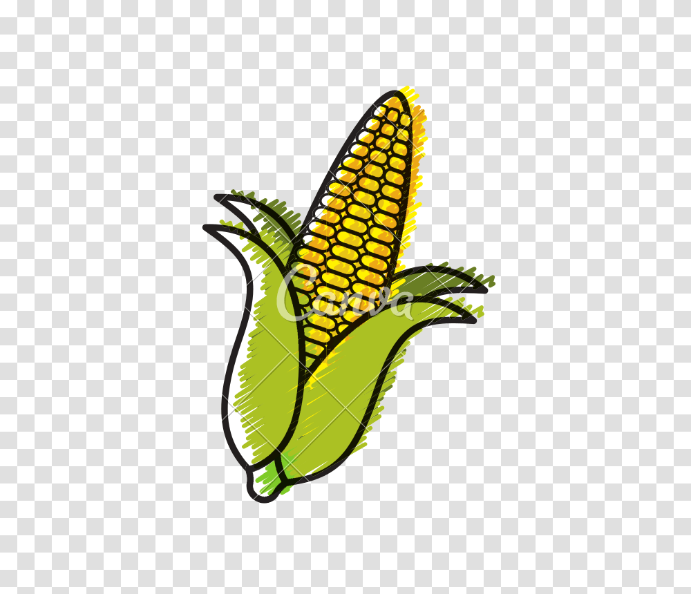 Corn Cob Doodle, Plant, Vegetable, Food Transparent Png