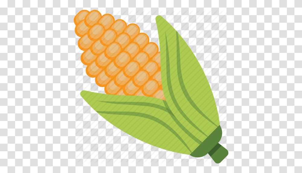 Corn Cob Fresh Corn Maize Ripe Corn Sweet Corn Icon, Plant, Vegetable, Food Transparent Png