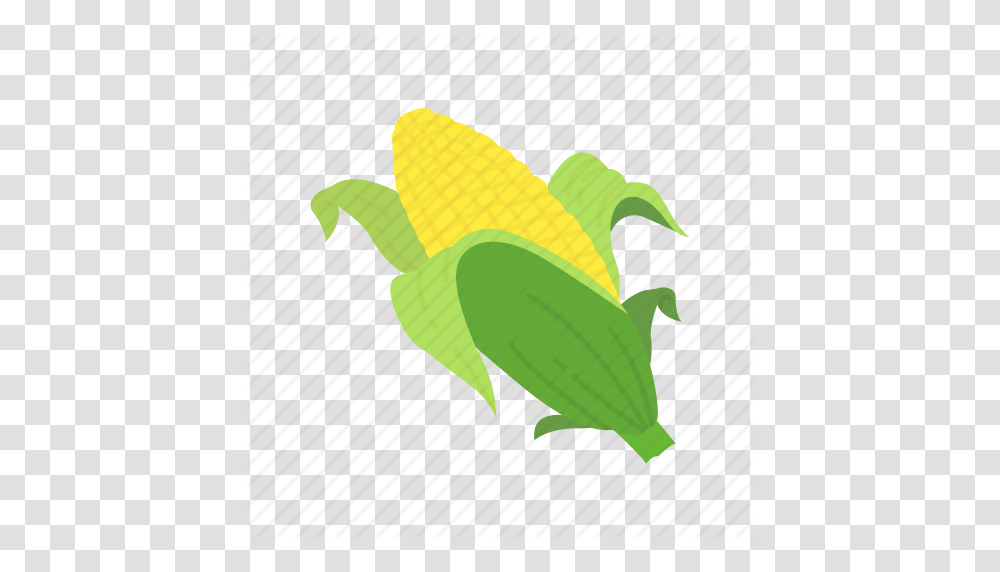 Corn Corn Husk Corn On The Cob Thanksgiving Icon, Plant, Food, Vegetable, Bird Transparent Png