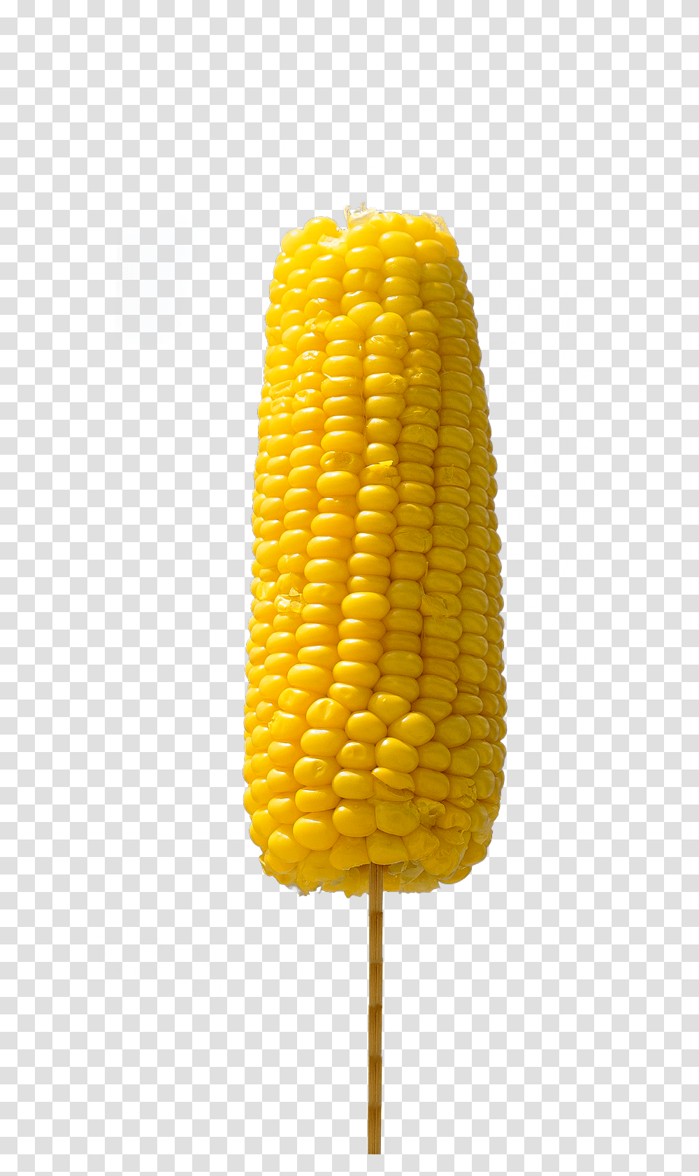 Corn Corn Kernels, Plant, Vegetable, Food, Grain Transparent Png