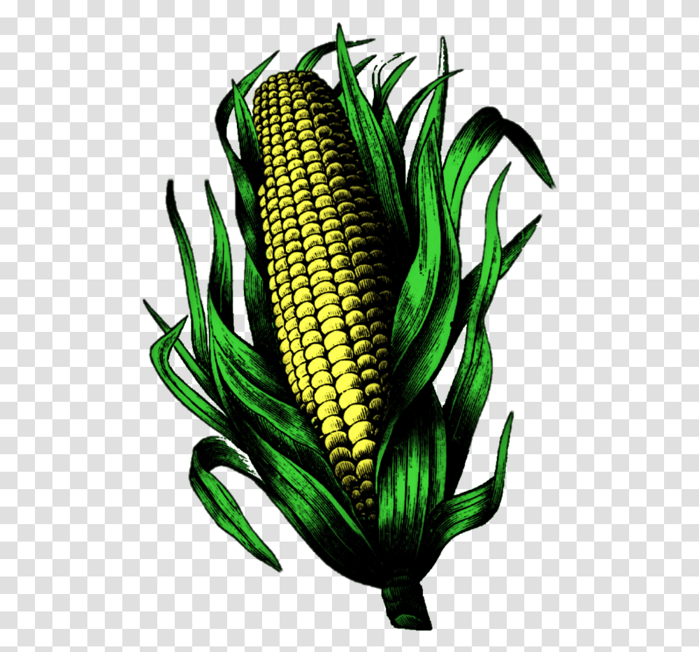 Corn Cornonthecob Corncob Earofcorn Corn Kernels, Plant, Vegetable, Food, Pineapple Transparent Png