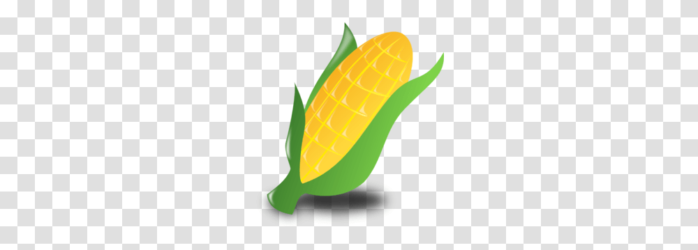 Corn Cub Clip Art, Plant, Tennis Ball, Sport, Sports Transparent Png