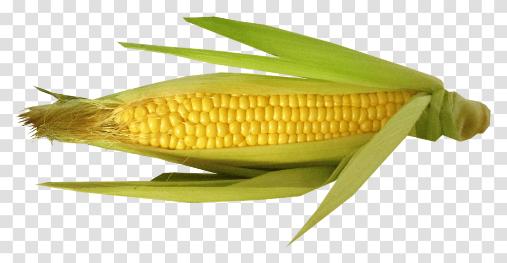 Corn Cut Out, Plant, Vegetable, Food, Snake Transparent Png