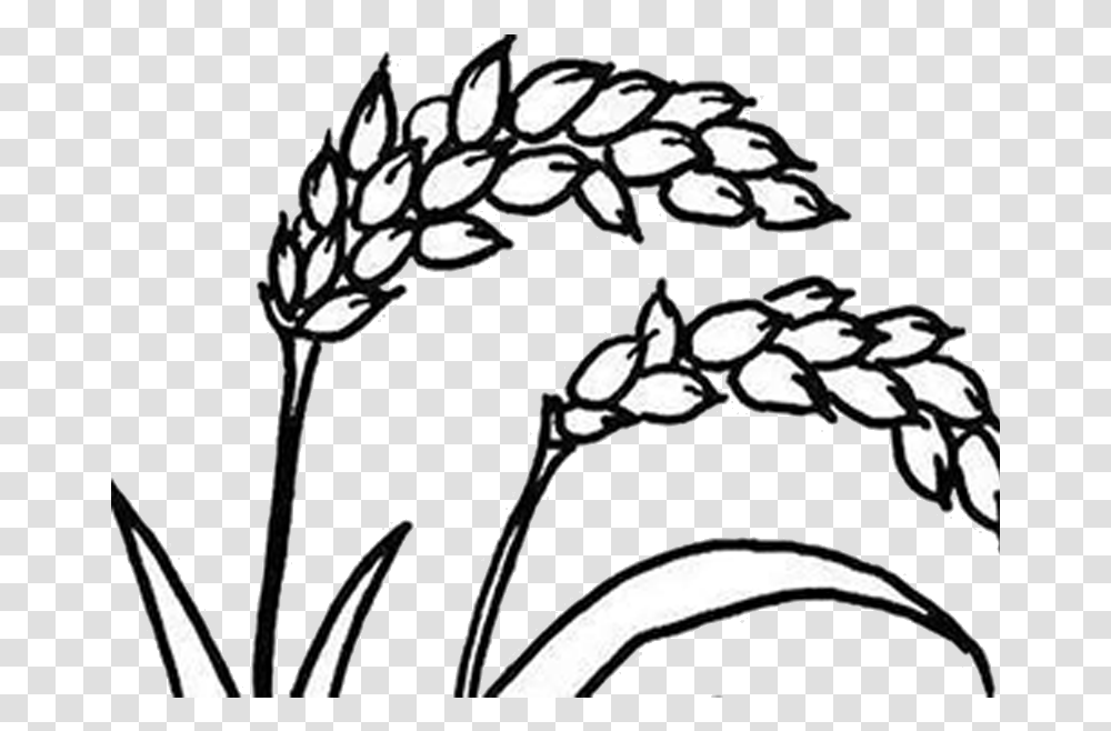Corn Drawing Rice For Free Download Rice Clipart Black And White, Plant, Flower, Blossom Transparent Png