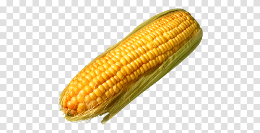 Corn Free Corn On The Cob Background, Plant, Vegetable, Food Transparent Png