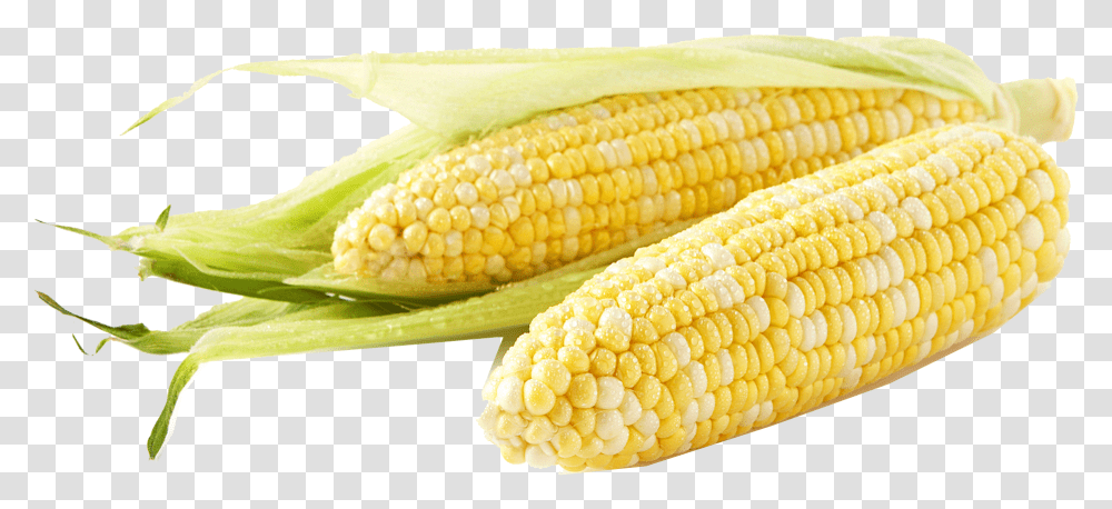 Corn Free Download Meijer Corn, Plant, Vegetable, Food, Snake Transparent Png
