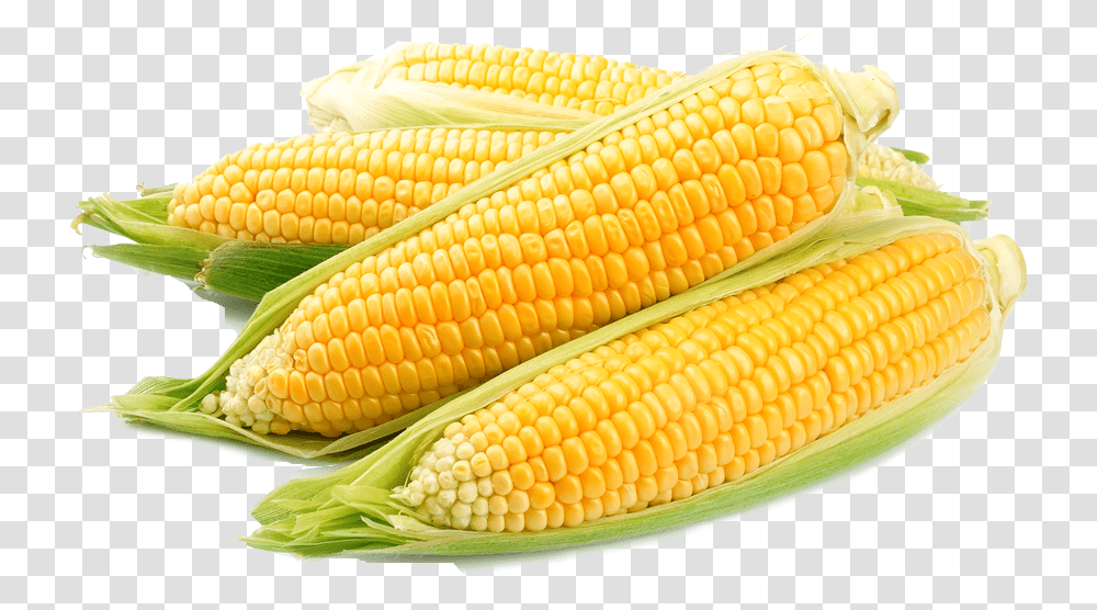 Corn Free Images Una Receta Que Tenga Al Maz Como Su Principal Ingrediente, Plant, Vegetable, Food, Snake Transparent Png
