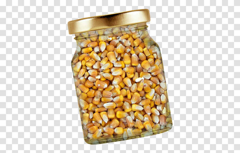 Corn Glass Lid Corn Kernels Isolated Exemption Shelled Corn, Plant, Food, Vegetable, Produce Transparent Png