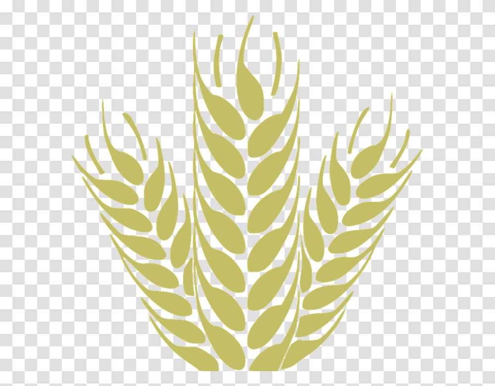 Corn Grain Spica Wheat Cereals Harvest Fiber Short Chain Fatty Acids, Plant, Pineapple, Fruit, Food Transparent Png