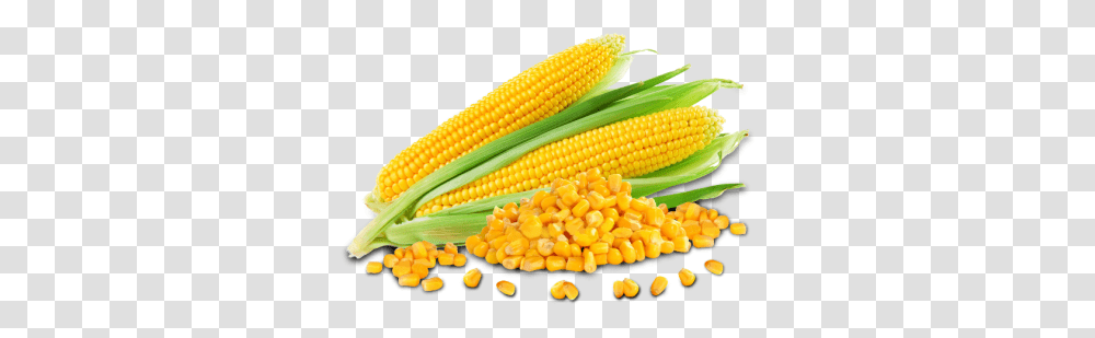 Corn Hd Corn Hd Images, Plant, Vegetable, Food, Snake Transparent Png