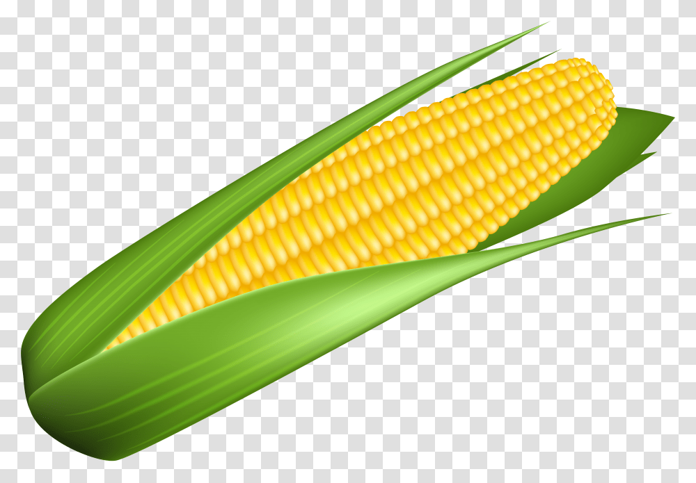 Corn Image Background Corn Clipart Transparent Png