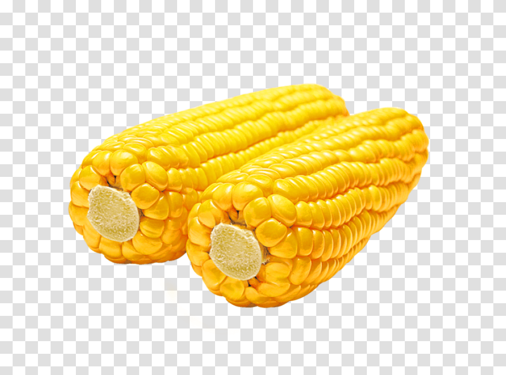Corn Image Cob, Plant, Vegetable, Food, Fungus Transparent Png