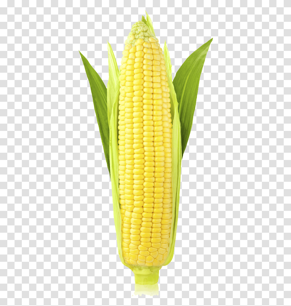 Corn Image Ear Of Corn, Plant, Pineapple, Fruit, Food Transparent Png