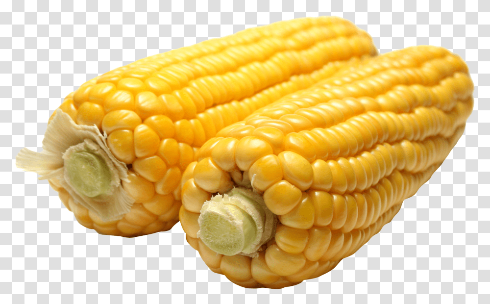 Corn Image Maize, Plant, Vegetable, Food, Fungus Transparent Png