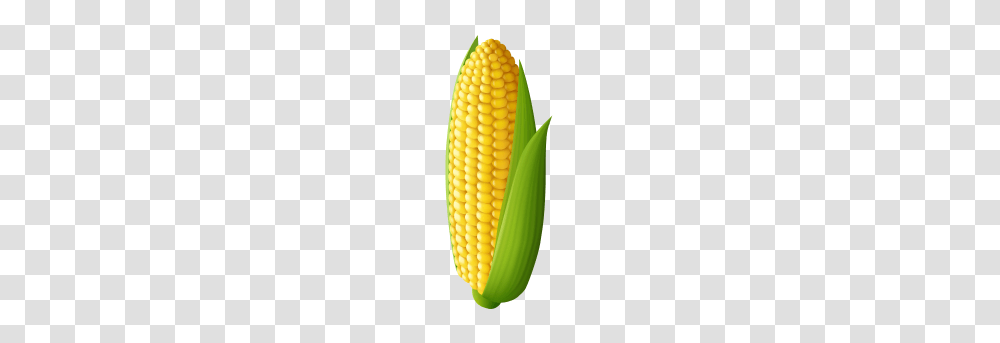 Corn Image, Plant, Vegetable, Food Transparent Png