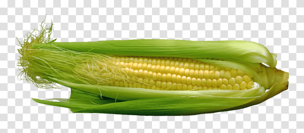 Corn Image, Vegetable, Plant, Food, Produce Transparent Png