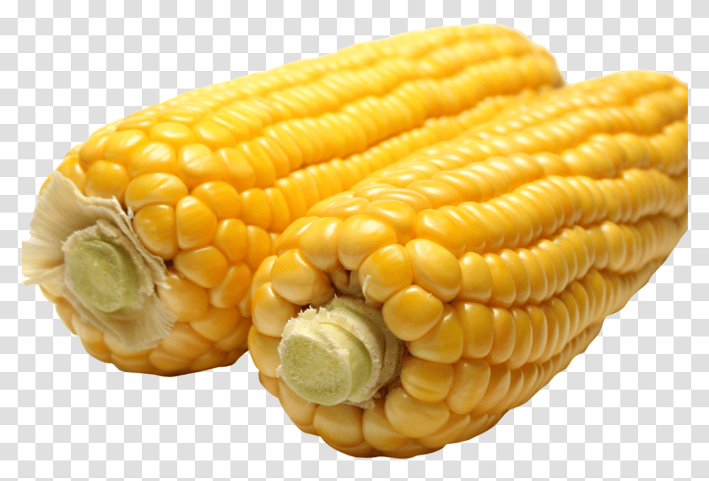 Corn Image1 Corn, Plant, Vegetable, Food, Fungus Transparent Png