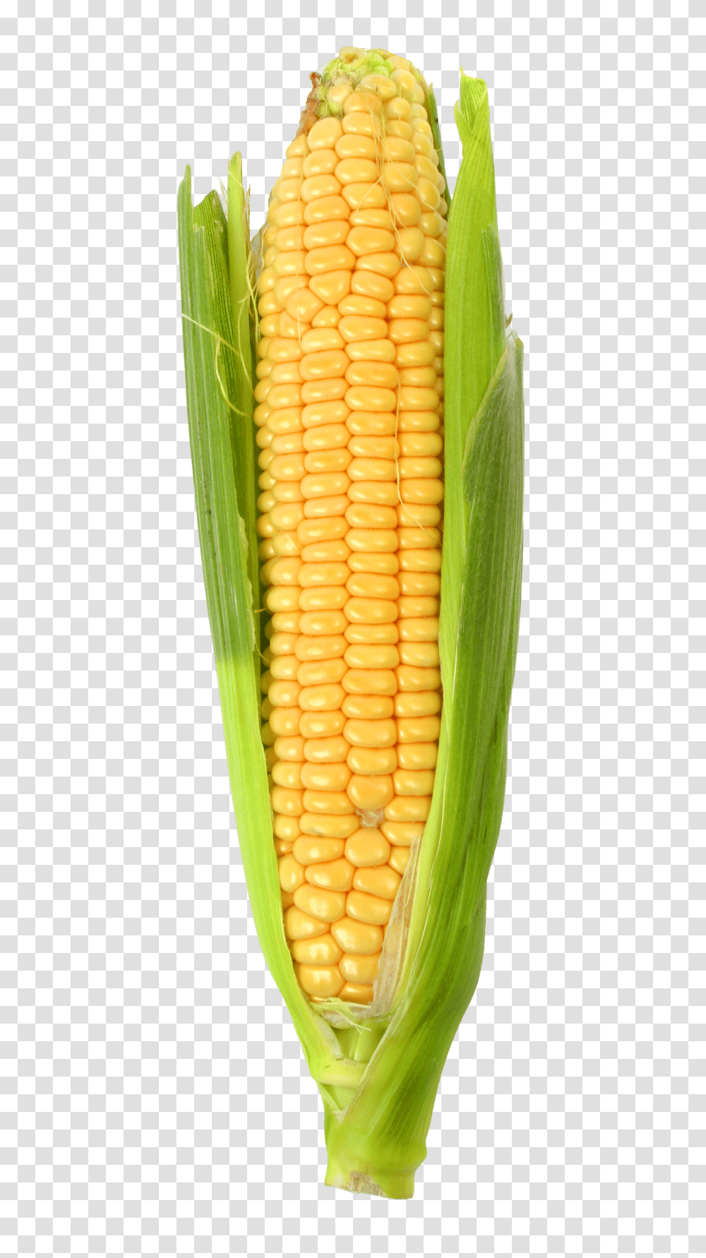 Corn Image1, Vegetable, Plant, Pineapple, Fruit Transparent Png